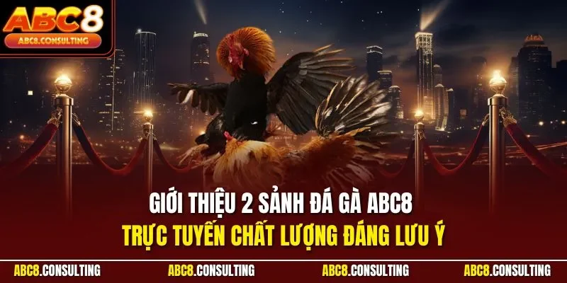 Giới thiệu 2 sảnh đá gà ABC8 trực tuyến chất lượng đáng lưu ý