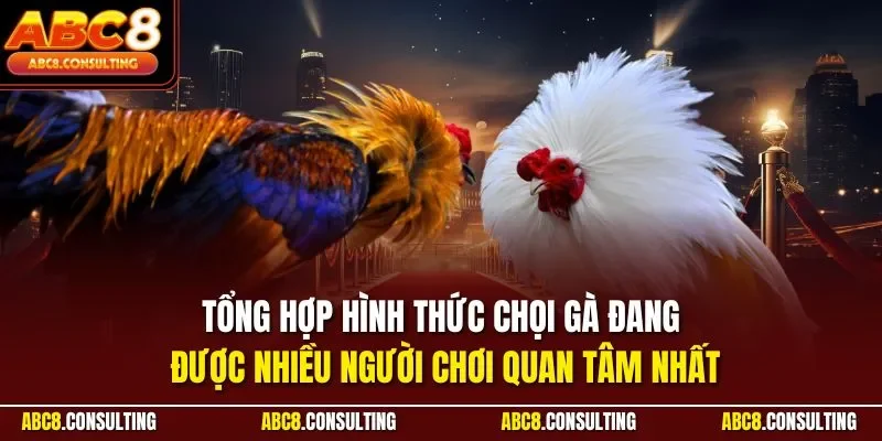 Tổng hợp hình thức chọi gà đang được nhiều người chơi quan tâm nhất