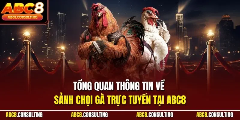 Tổng quan thông tin về sảnh chọi gà trực tuyến tại ABC8